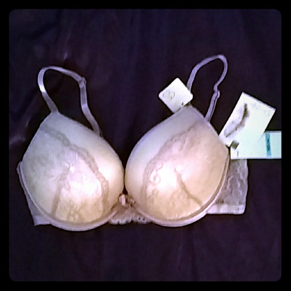 Jessica Simpson lavender + ivory bra 34c nwt